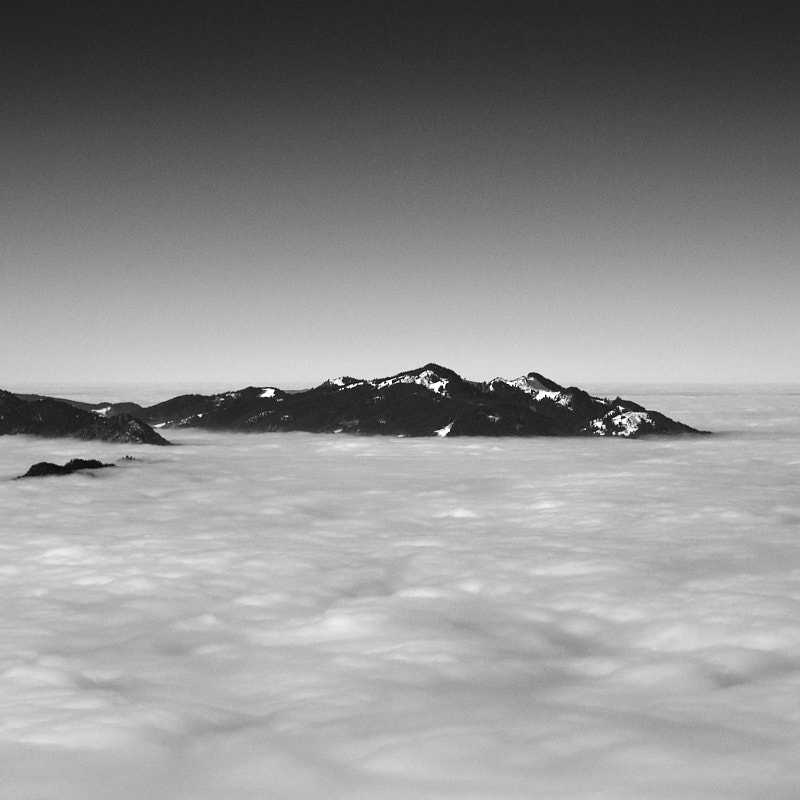 Island | Alu Dibond