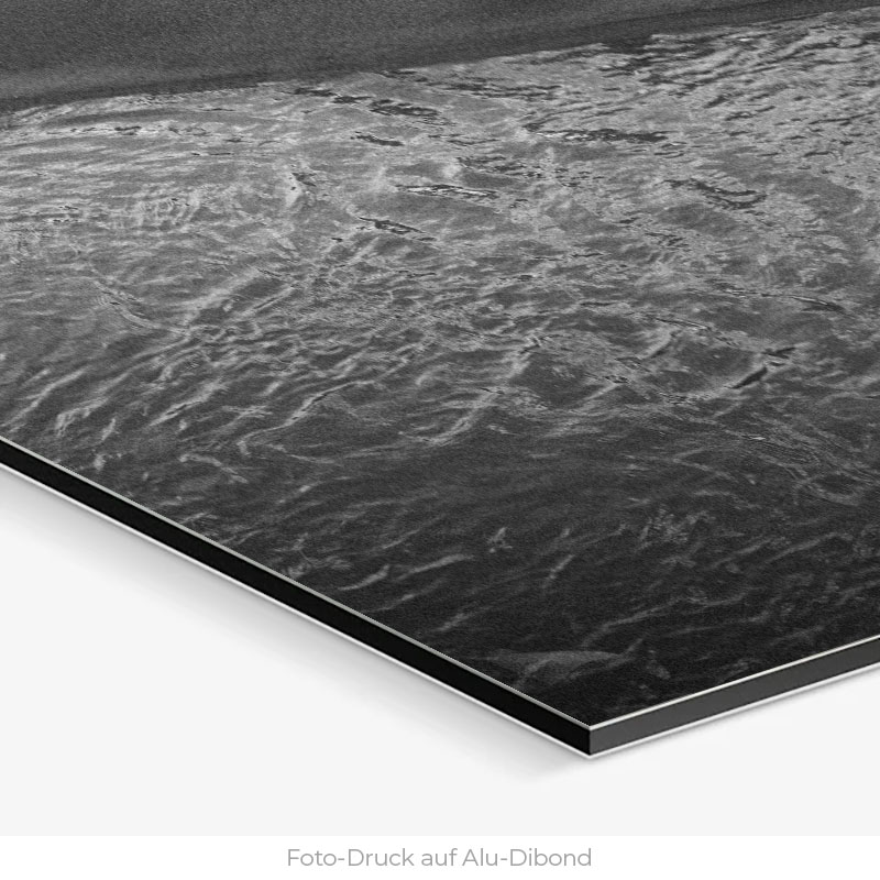 La Gata | Alu Dibond