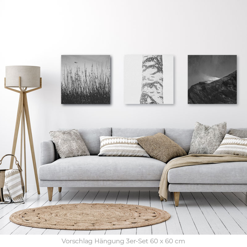 Napure One | 3er-Set Alu Dibond