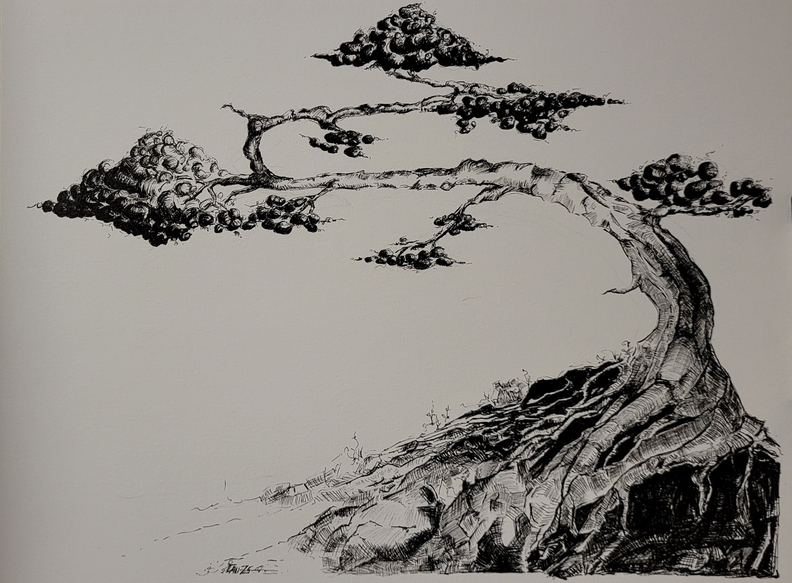 Hand-drawn Bubble Tree Art Nb 01