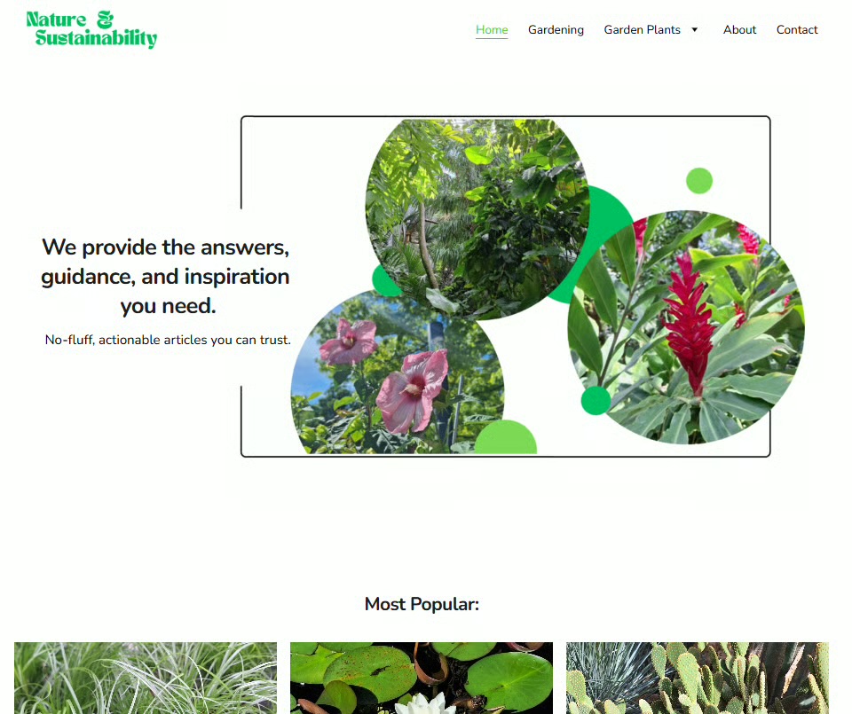 Homepage Link Insertion - natureandsustainability.com