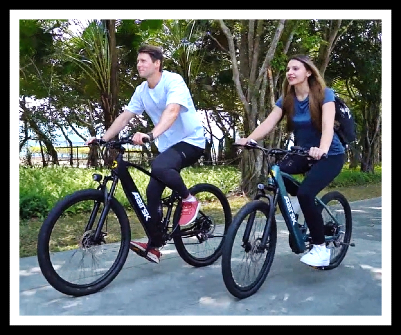 24" Aairsk GT900 - 13AH Battery - 21 Speed - Electric Bicycle for Adults
