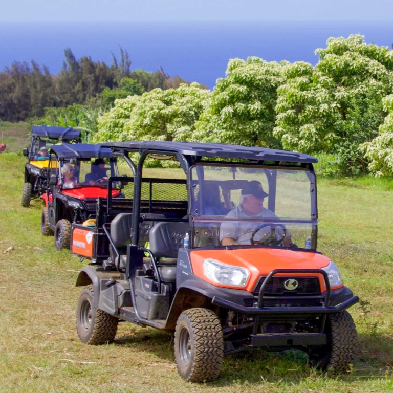 Explore The Waipio Ranch UTV Tour Explore Hawaii’s Rich Cultural Landscape on a Personal UTV