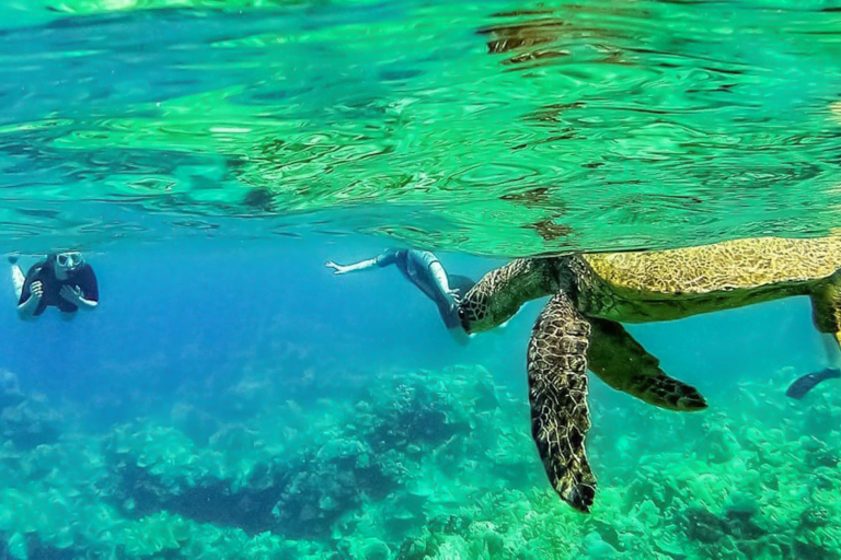 MOLOKINI & TURTLE REEF MORNING SNORKEL From Maalaea Harbor