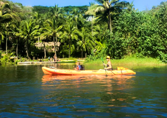 Secret Falls Kayak Tour Kauai's Hidden Jewel