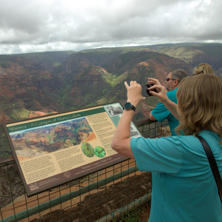 WAIMEA CANYON AND KŌKEʻE STATE PARK TOUR