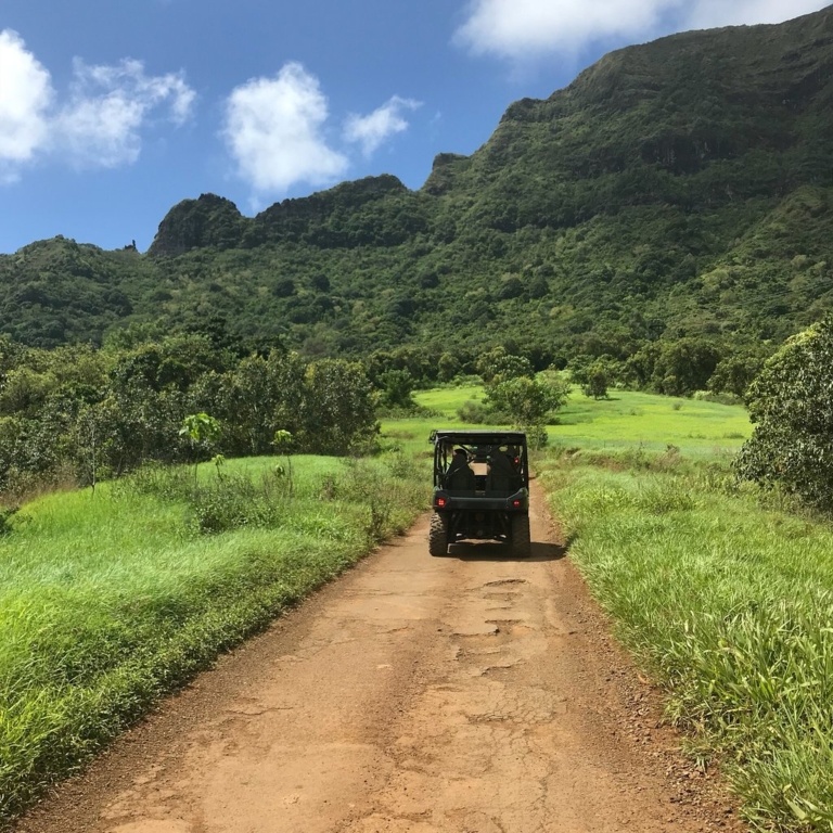 Ultimate Ranch Tour Experience Explore Kaua'i’s Off-Road Landscapes At Kipu Ranch