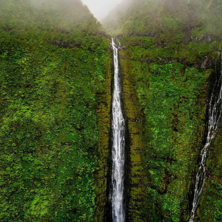 KOHALA WATERFALLS HIKING ADVENTURE A Guided Excursion Through Some Of The Big Island's Most Stunning Scenery