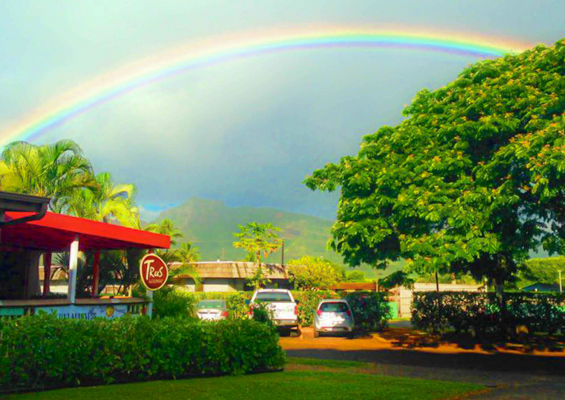 Secret Falls Kayak Tour Kauai's Hidden Jewel