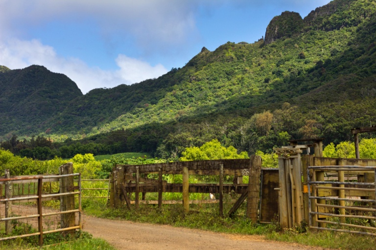 Ultimate Ranch Tour Experience Explore Kaua'i’s Off-Road Landscapes At Kipu Ranch