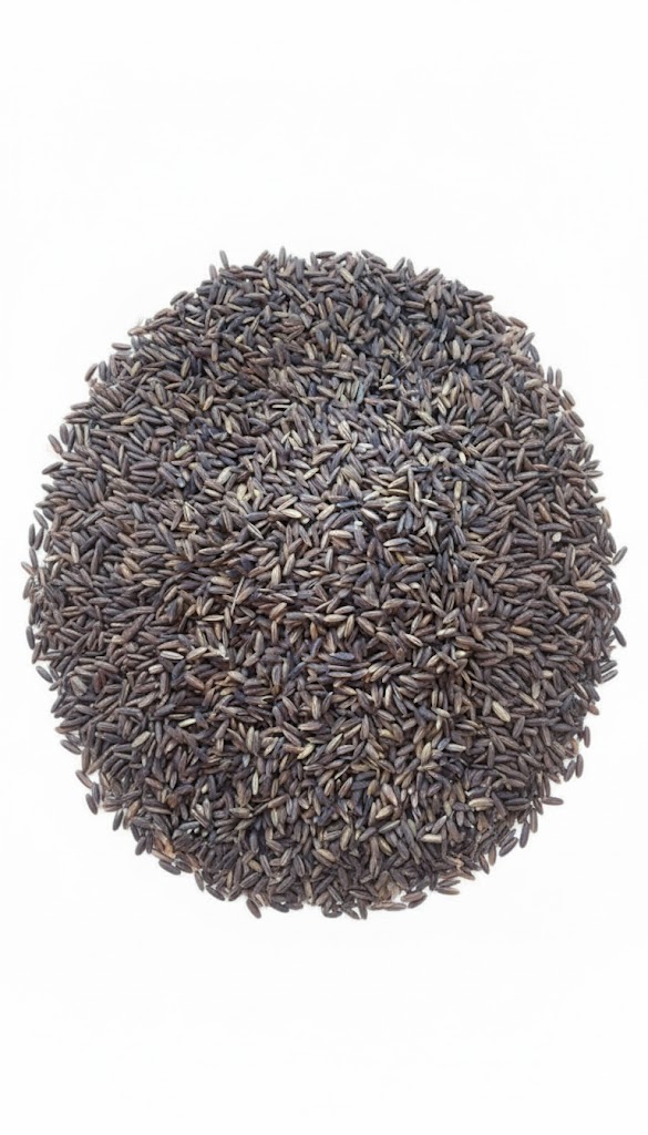 Black rice seed