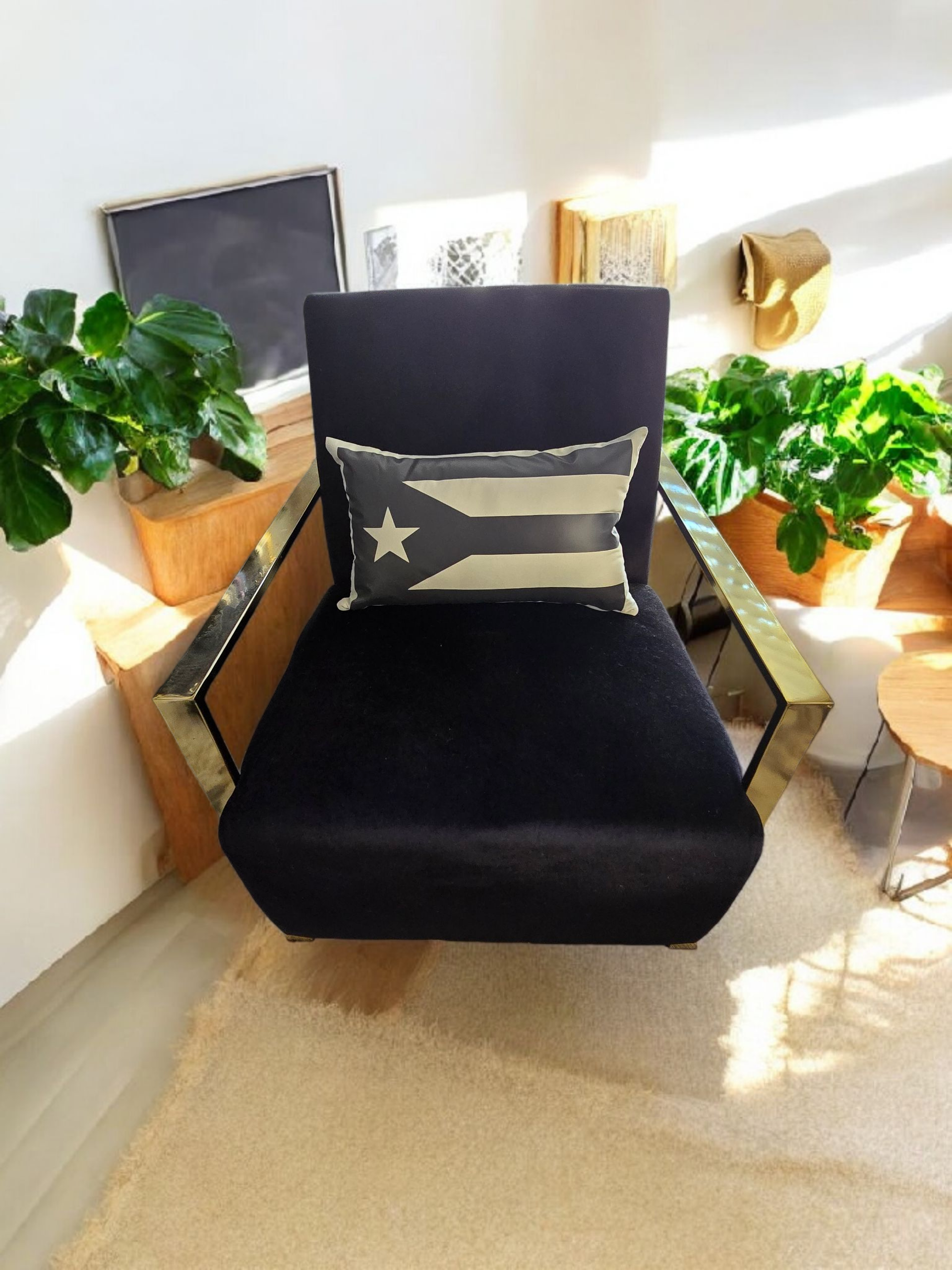 Puerto Rican Flag Decorative Pillow in Charcoal