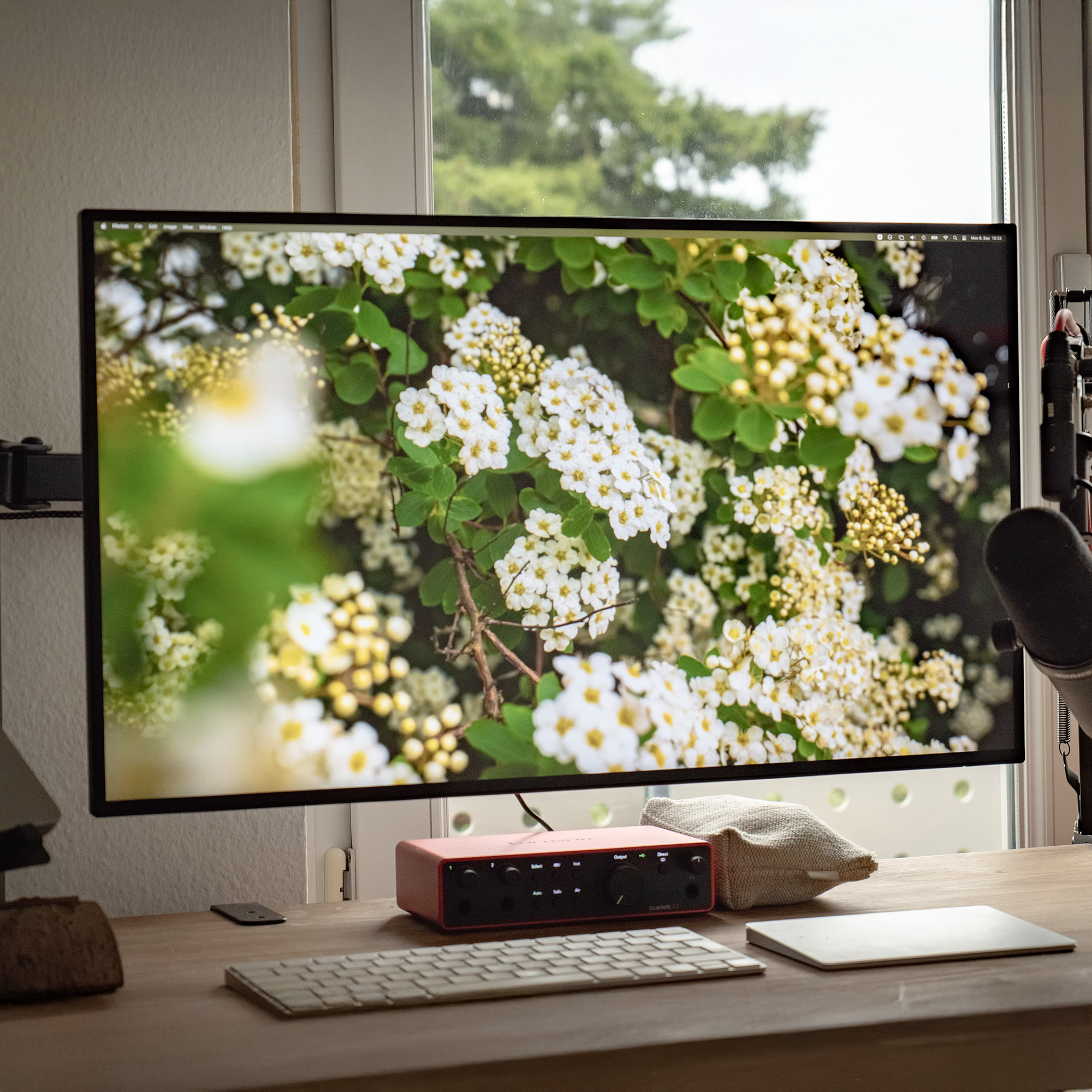 4K Flower Wallpaper Pack