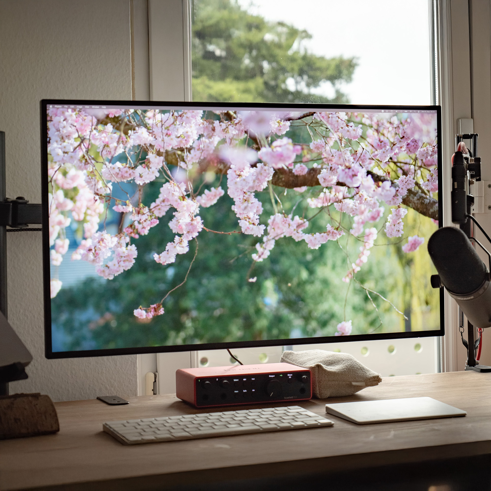 4K Flower Wallpaper Pack