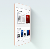 Apple iPad mini (2019) Wi-Fi + Cellular Gold 3GB 64GB (Unbox - Excellent Condition)