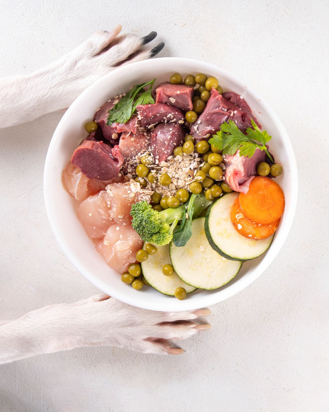 Ernährungsplan - krankes Tier