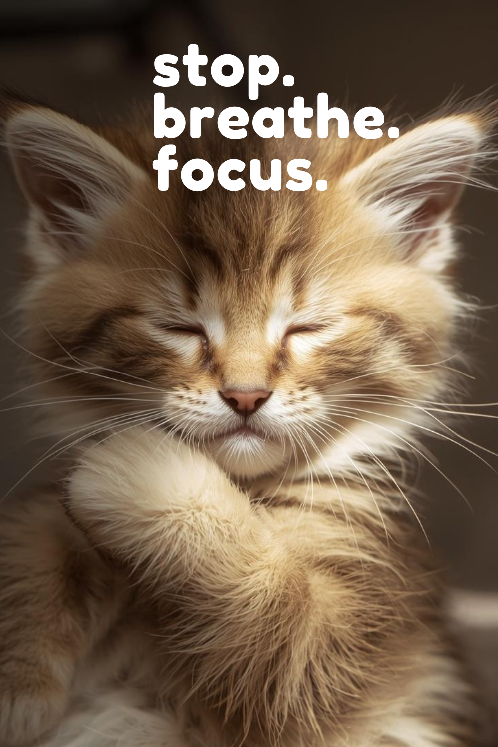 Mindful Kitten Digital Print