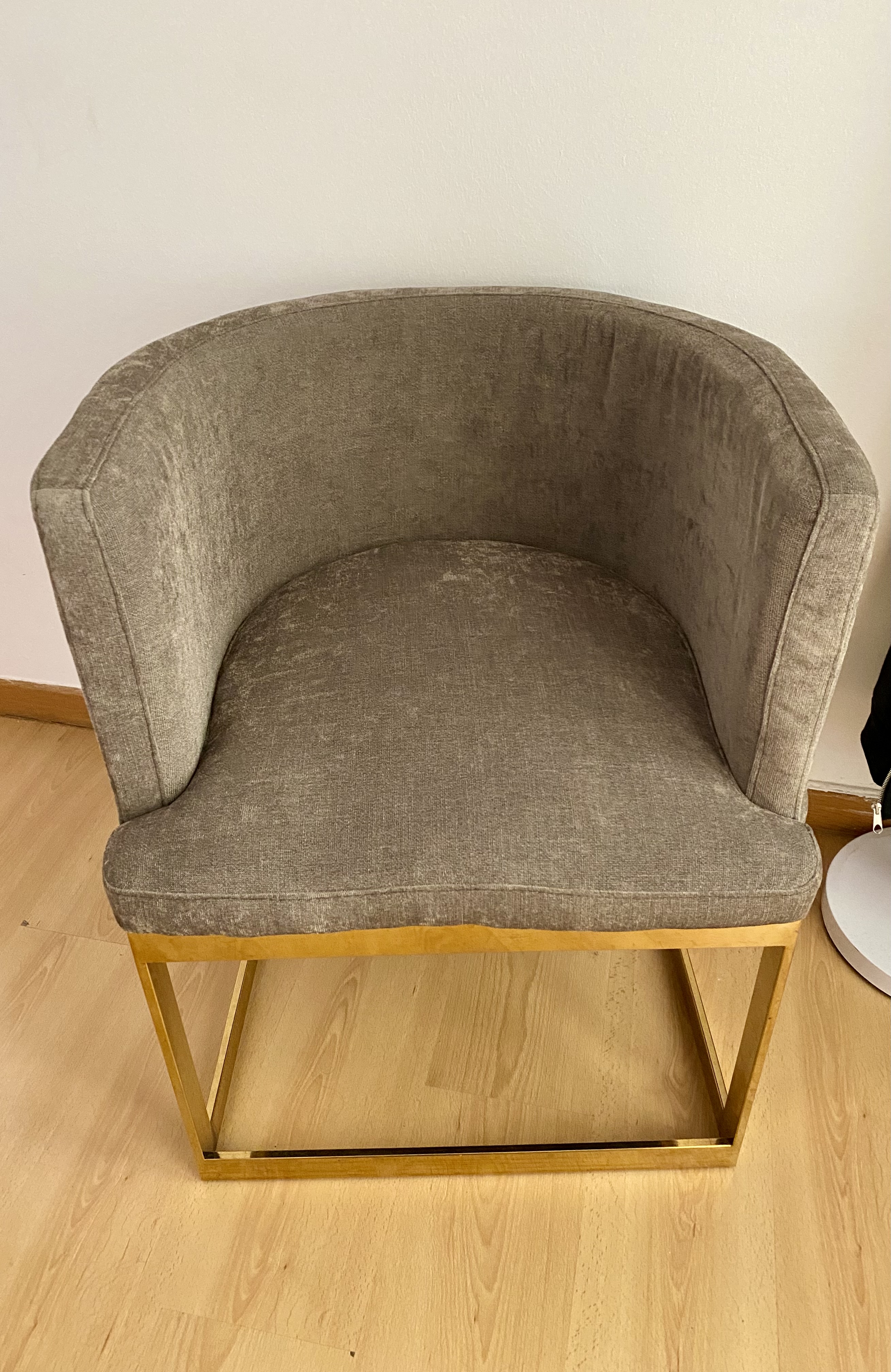 Poltrona moderna de veludo