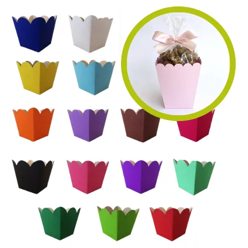 CACHEPÔT MEDIO /PEQUENO C/10