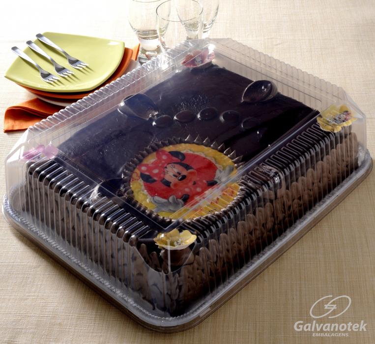 Forma retangular com tampa plástica