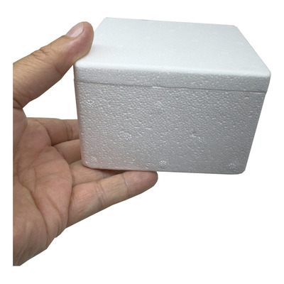 Caixa térmica de isopor 