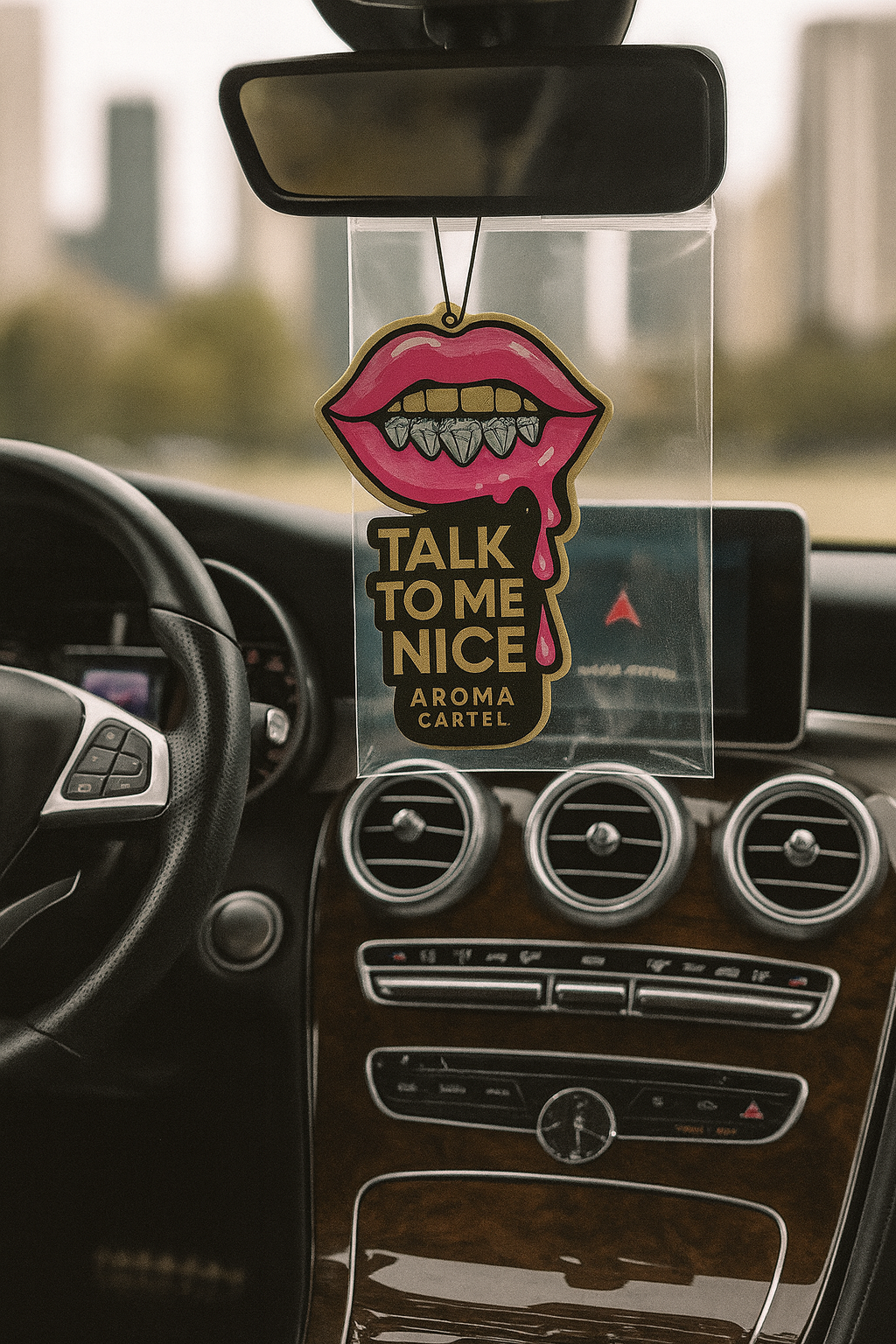 Talk To Me Nice Car Air Freshener