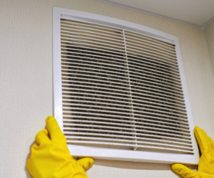 HVAC Maintenance Services (Pricing may vary)