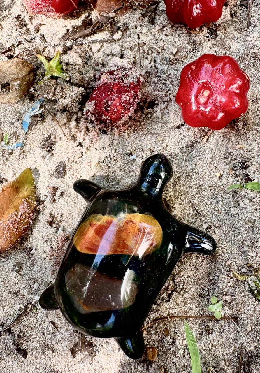 NOIR – Guardiã da Coragem