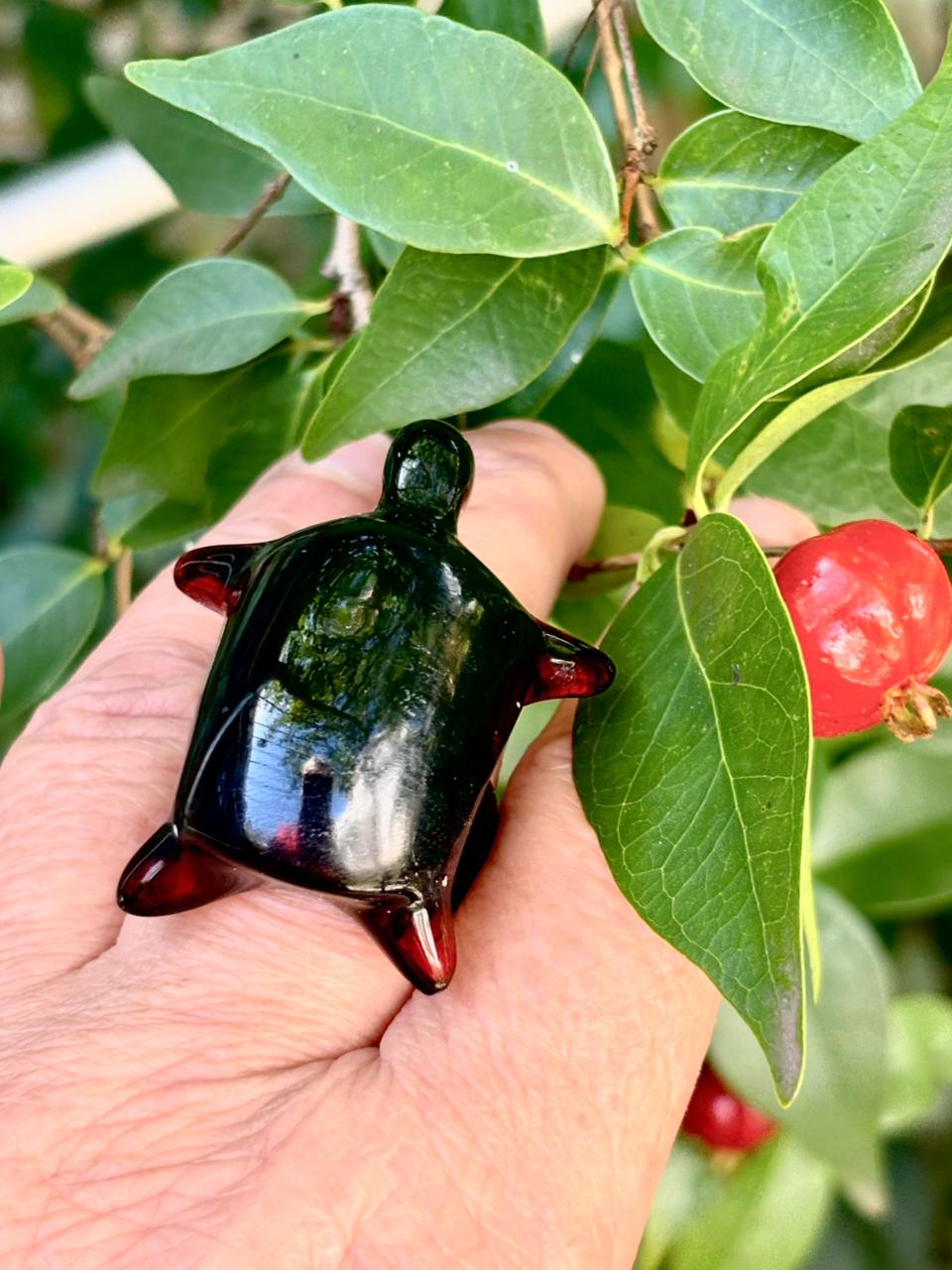 NOIR – Guardiã da Coragem