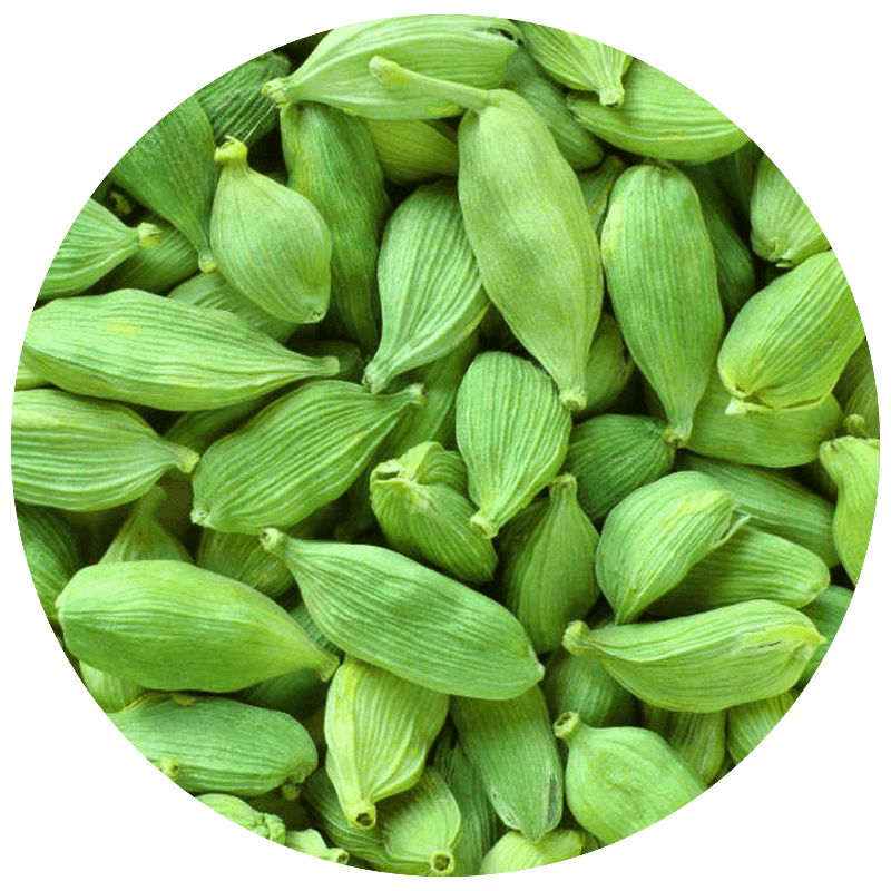 Cardamom (এলাচ)