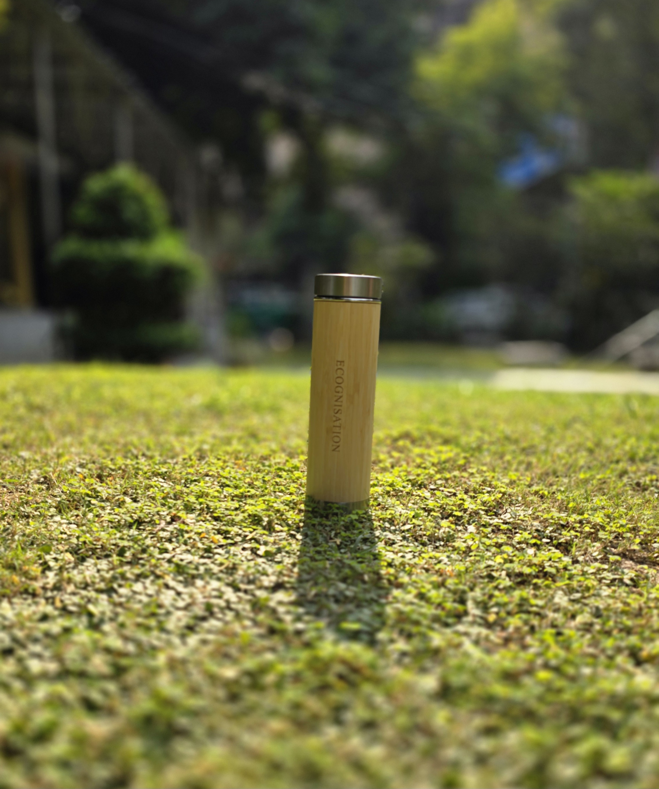 The Bamboo Alderborne Bottle (500ml)