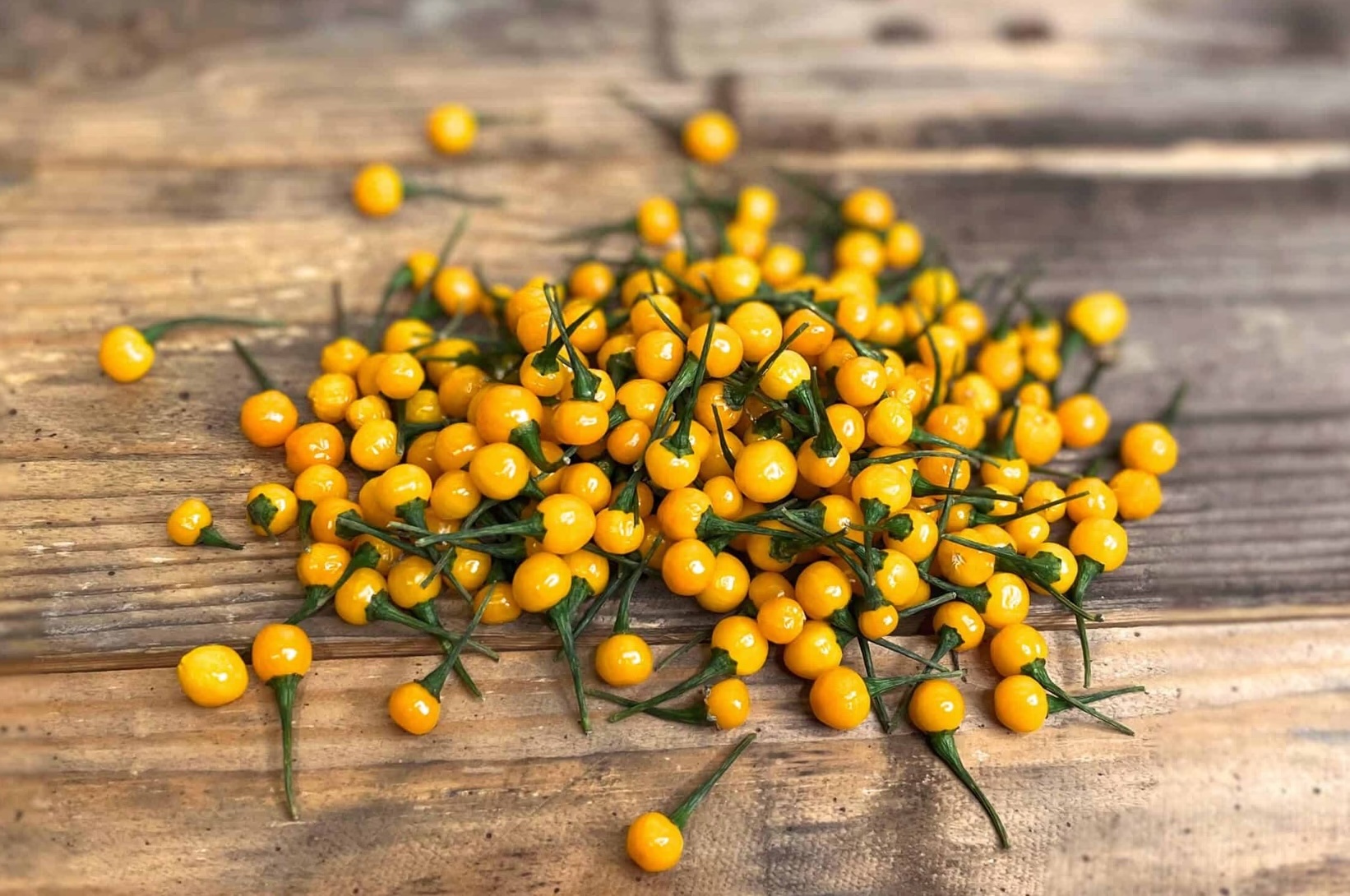 Piment Aji Charapita - entier