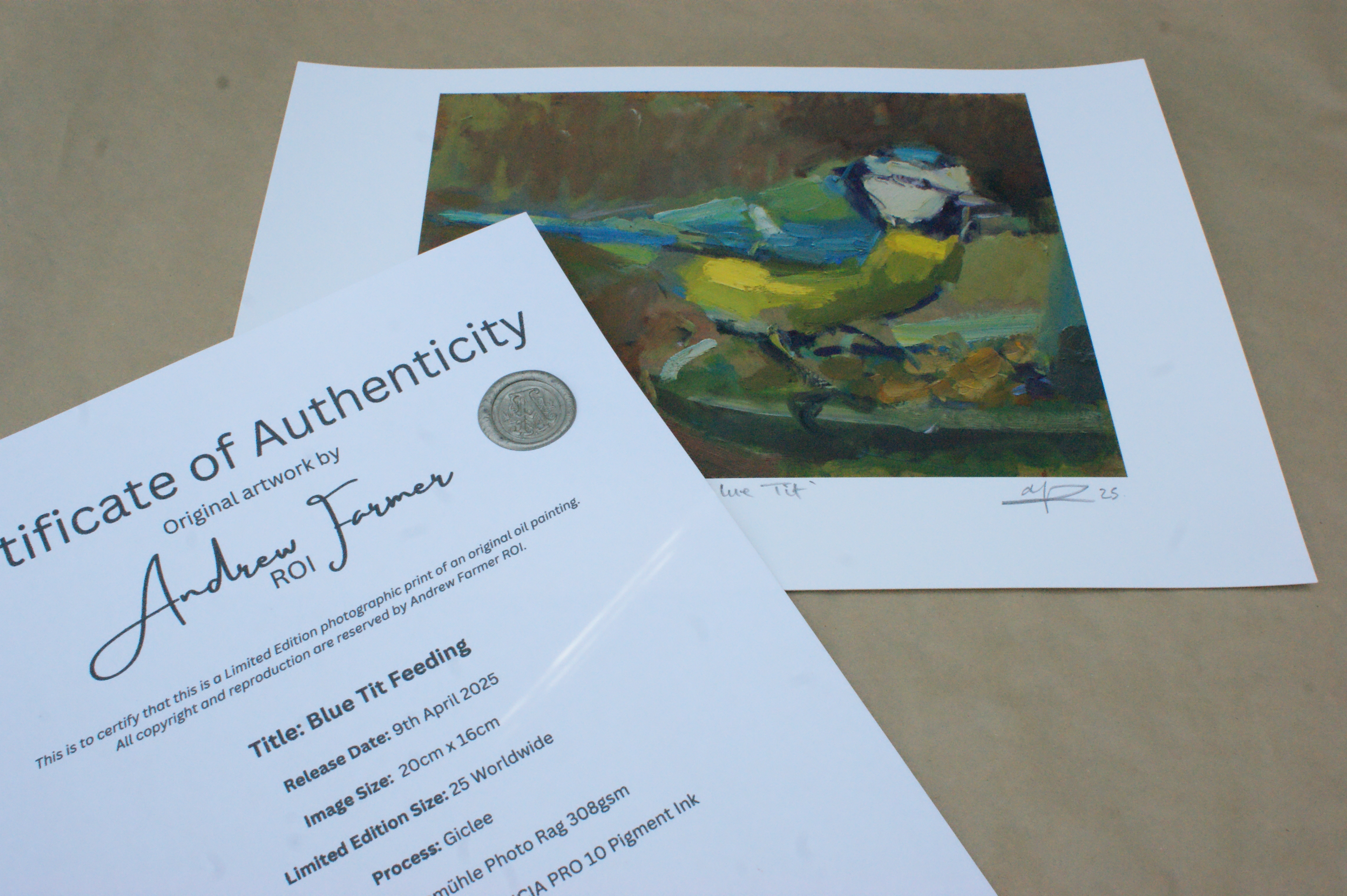 Blue Tit Feeding, Giclee Print