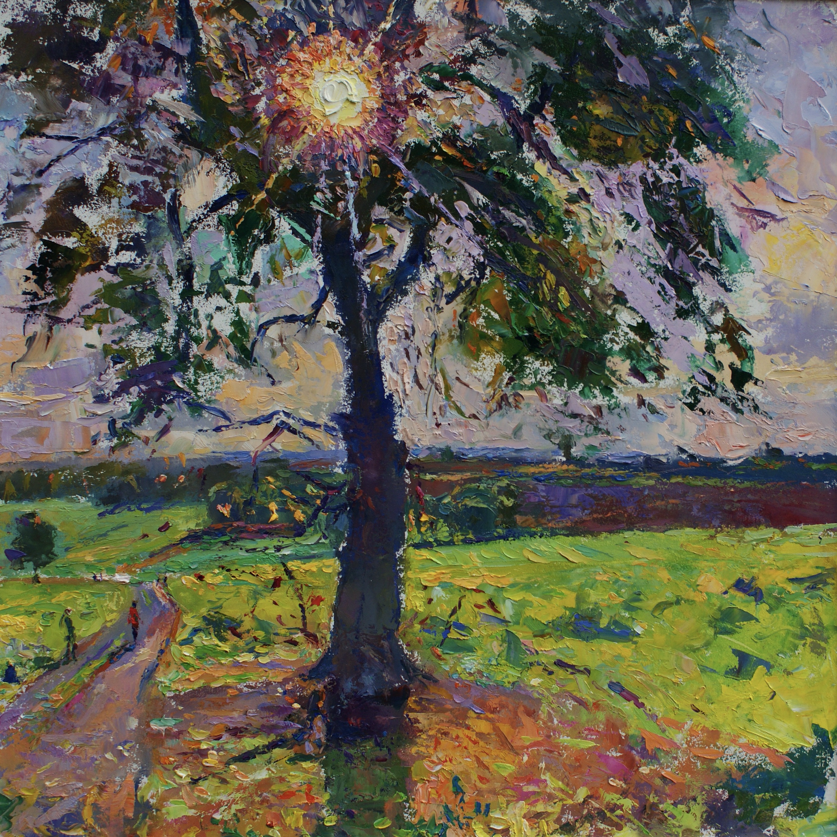 Sunrise Through The Trees