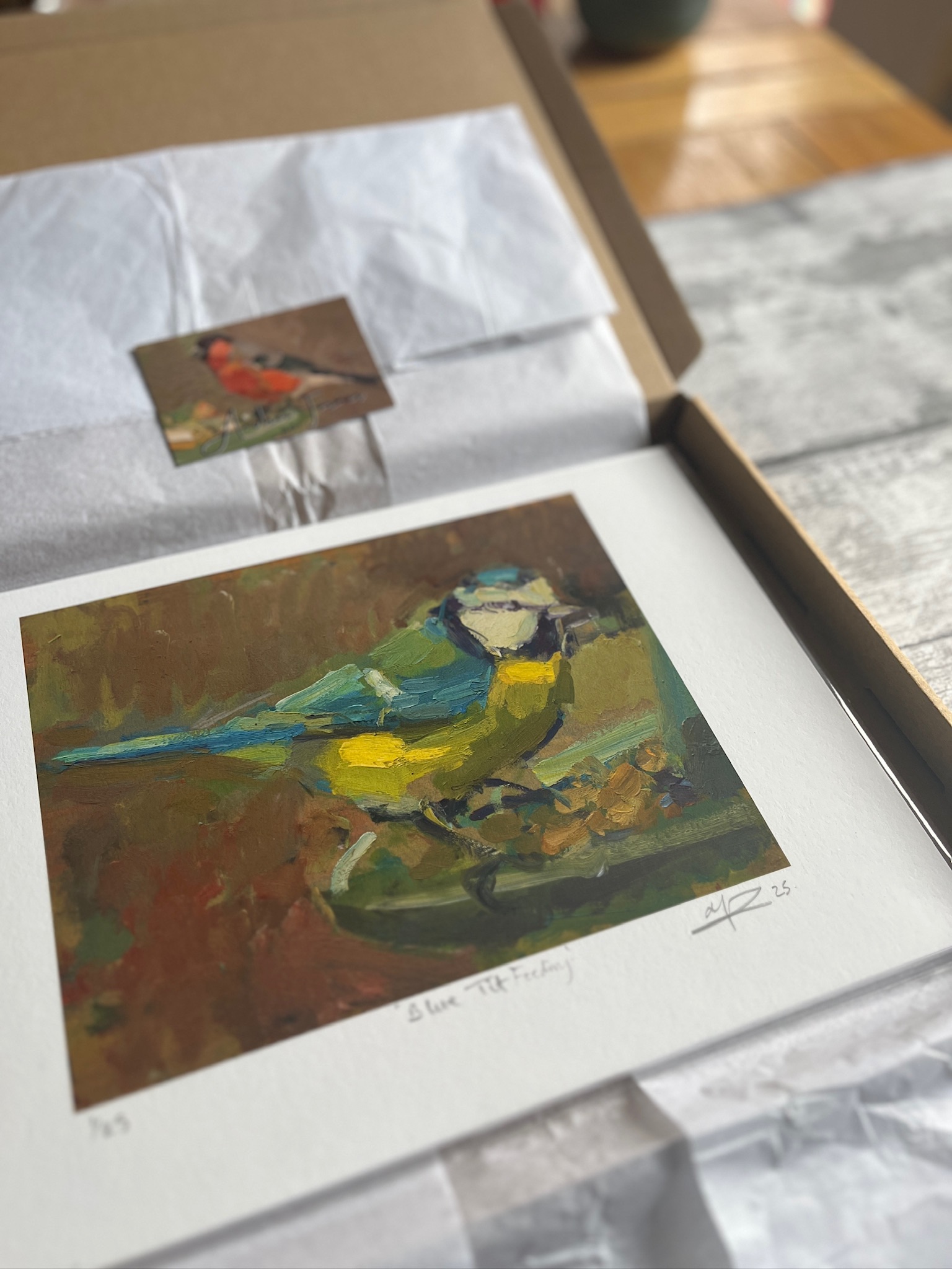 Blue Tit Feeding, Giclee Print