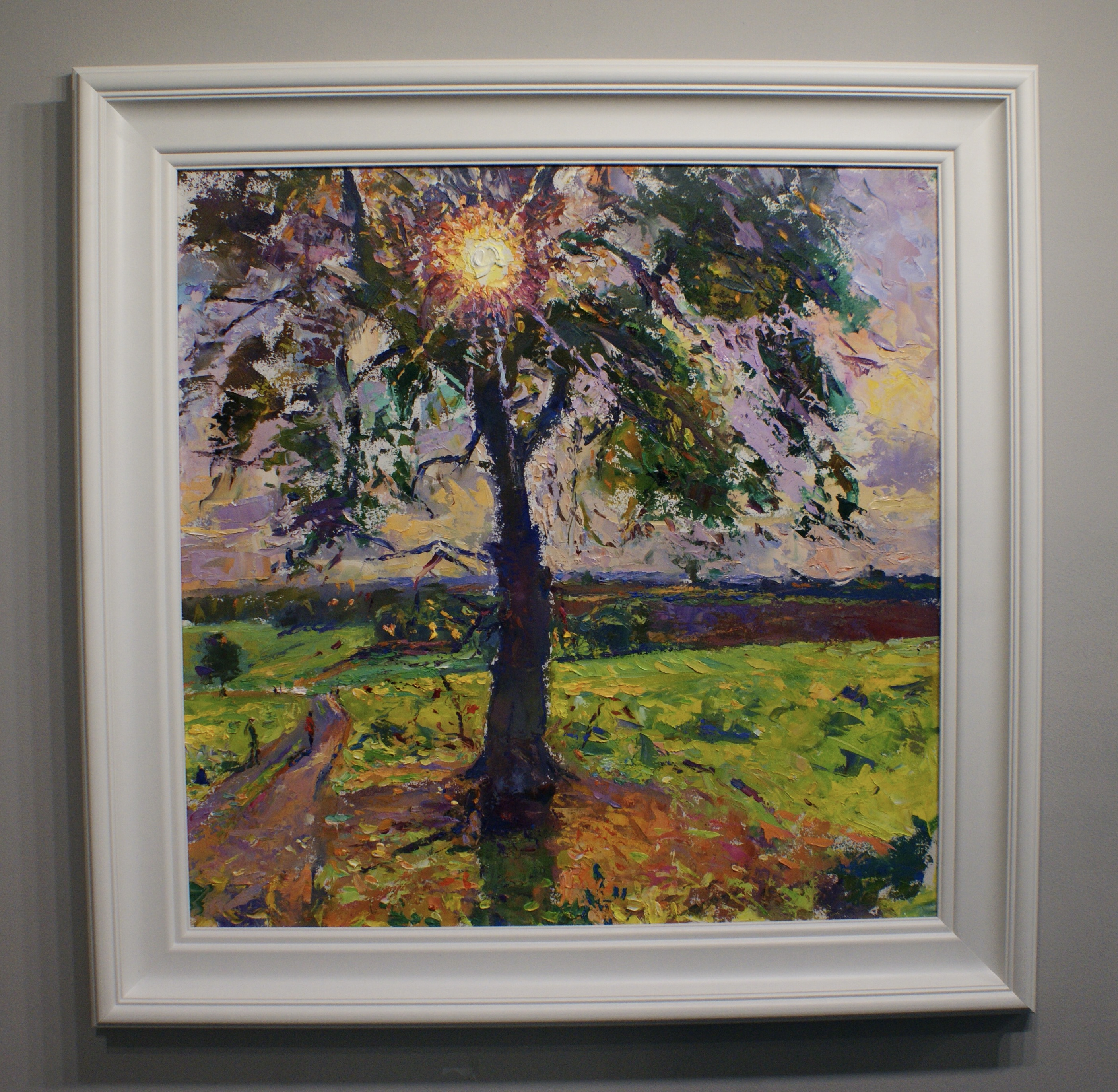 Sunrise Through The Trees