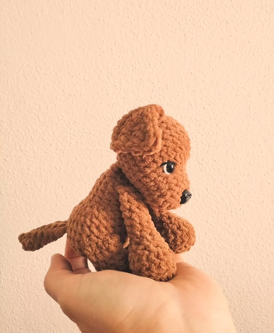 Buddy - il cagnolino giocoso