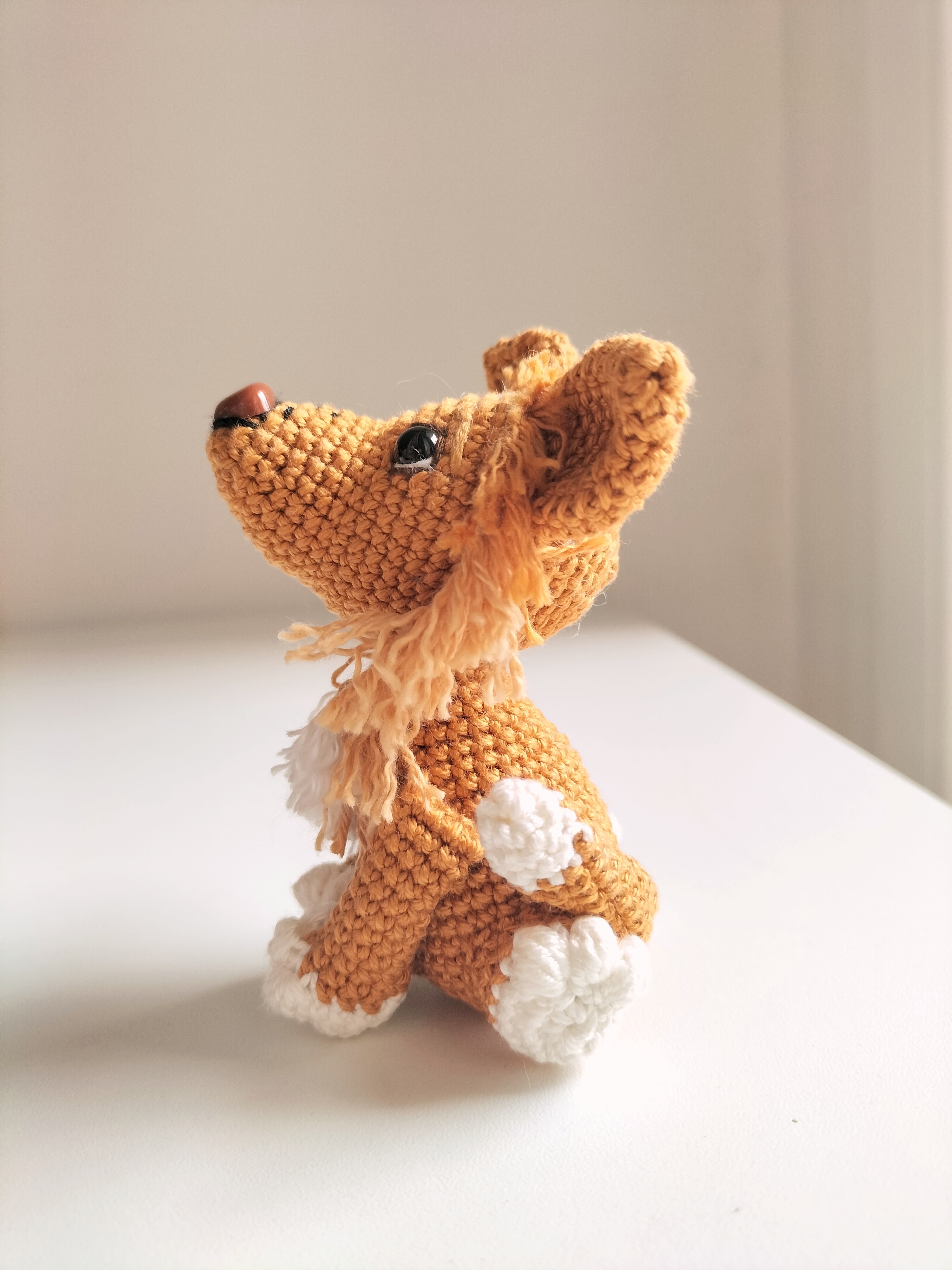 Annie - cagnolina curiosa