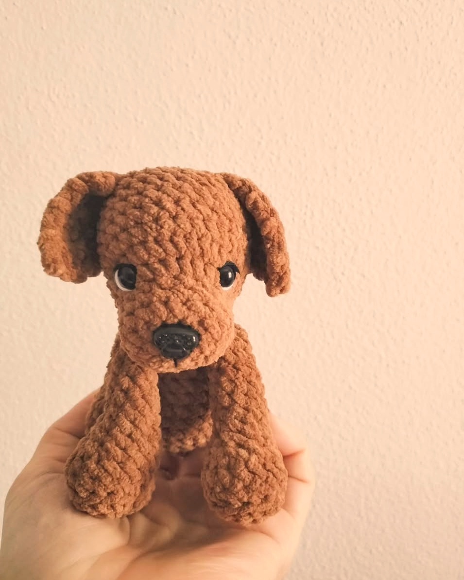 Buddy - il cagnolino giocoso