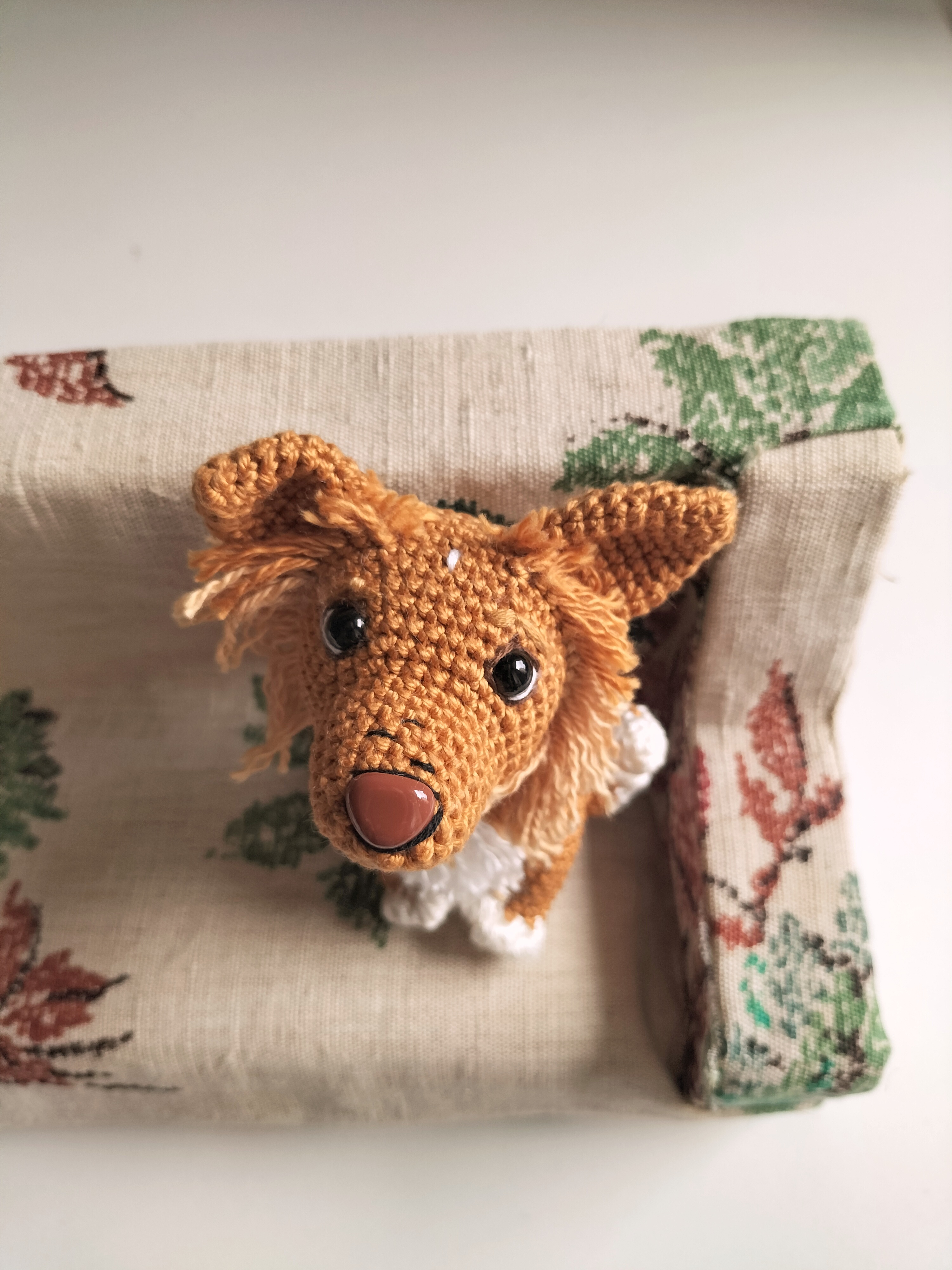 Annie - cagnolina curiosa