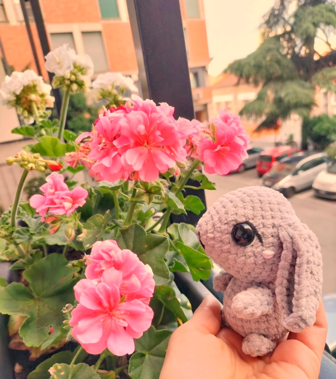 Timo - il coniglietto timido