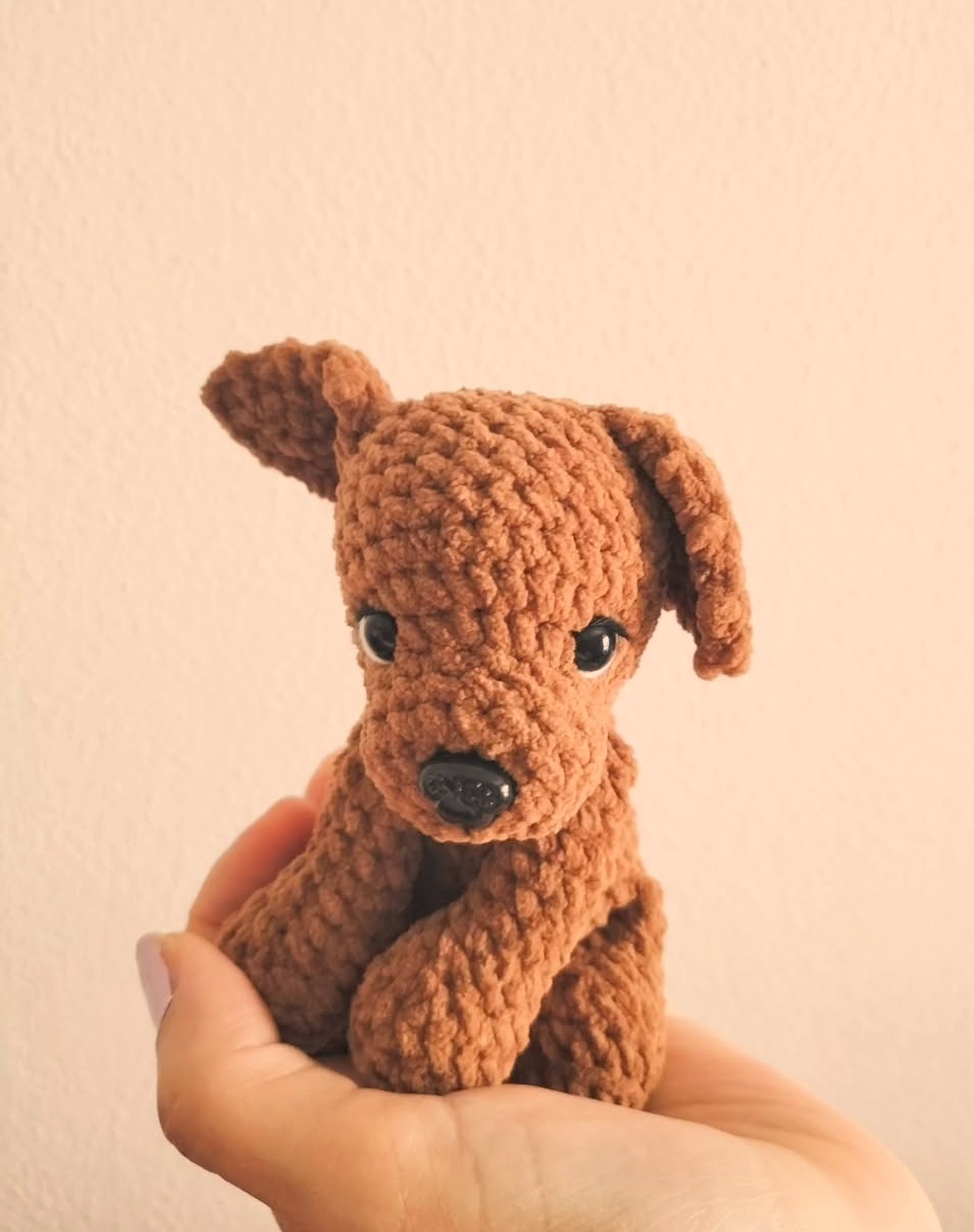 Buddy - il cagnolino giocoso