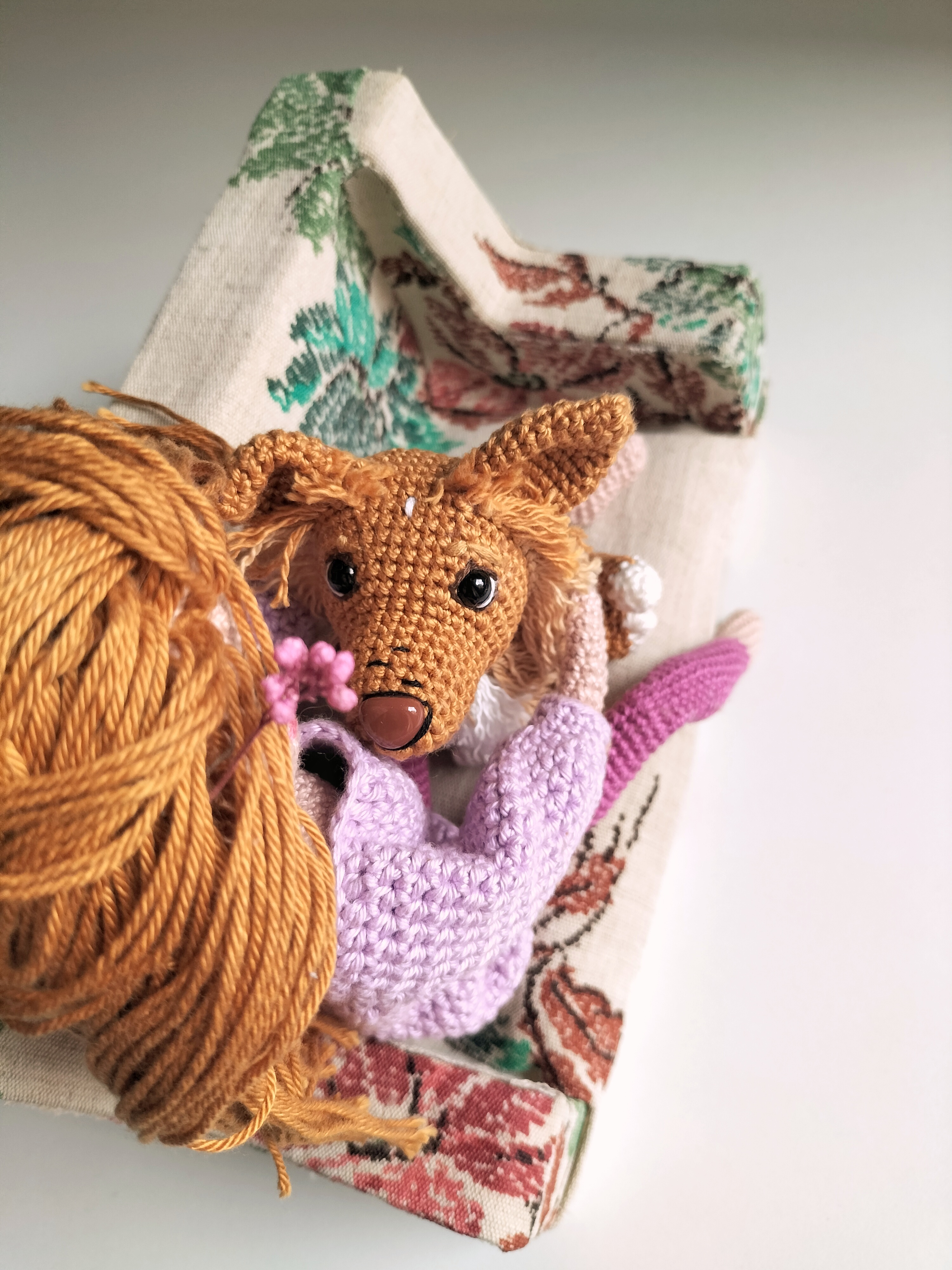 Annie - cagnolina curiosa