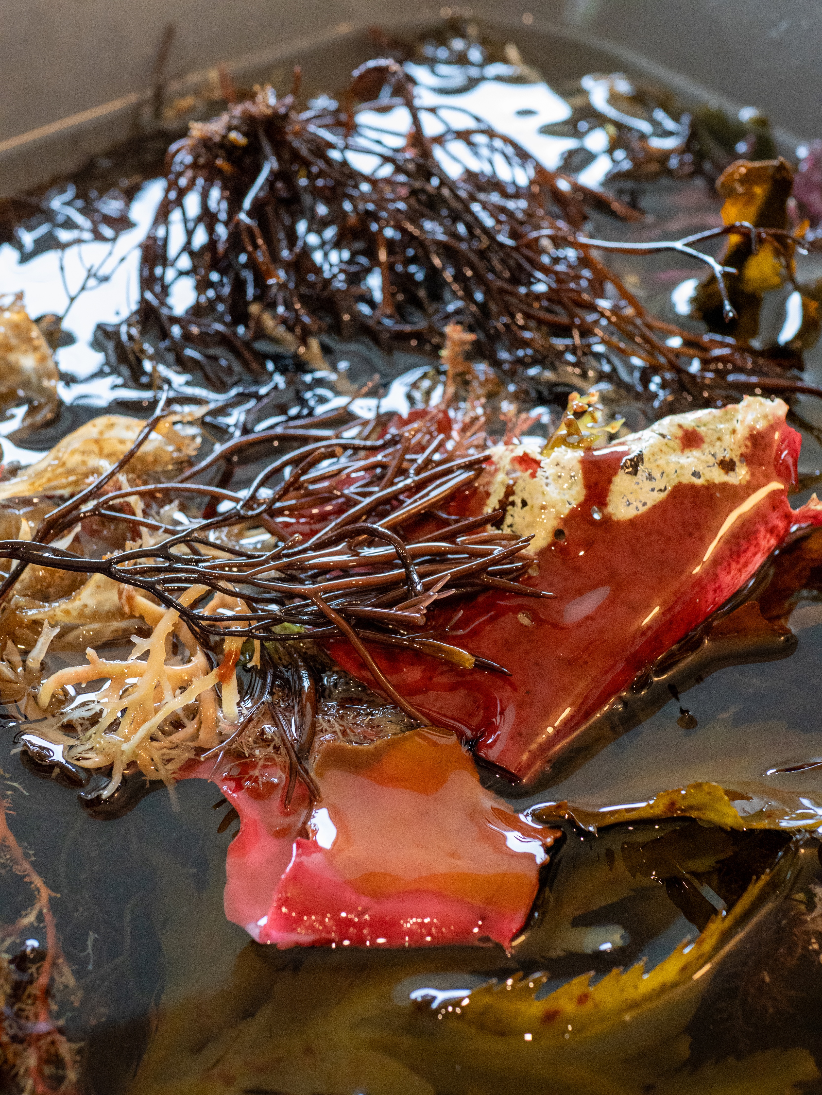 Alguier Calligraphie Marine 🖤 - Format 10 x 15 cm