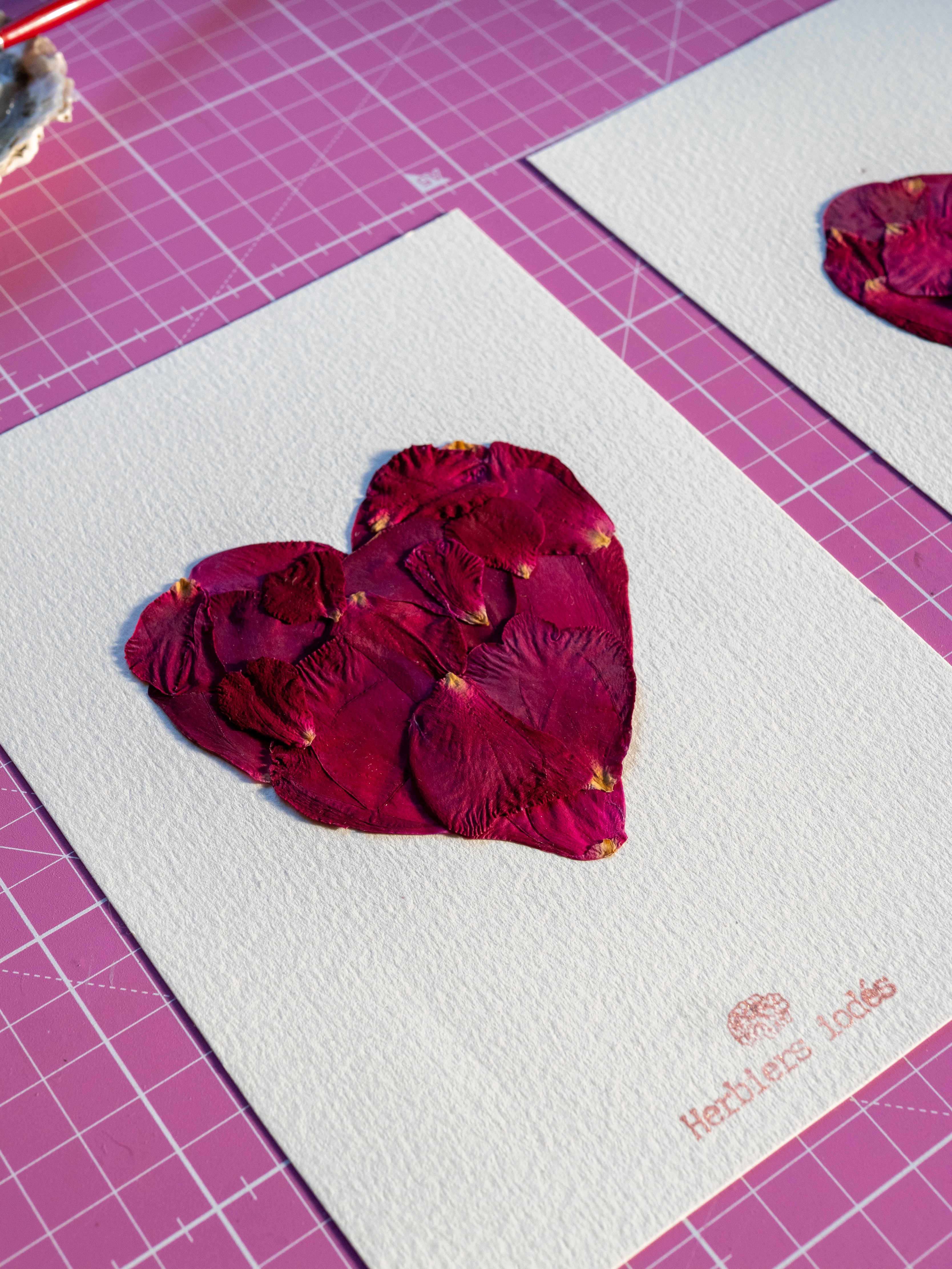 "Coeur de Roses pressées"  Herbier 13 x 18 cm