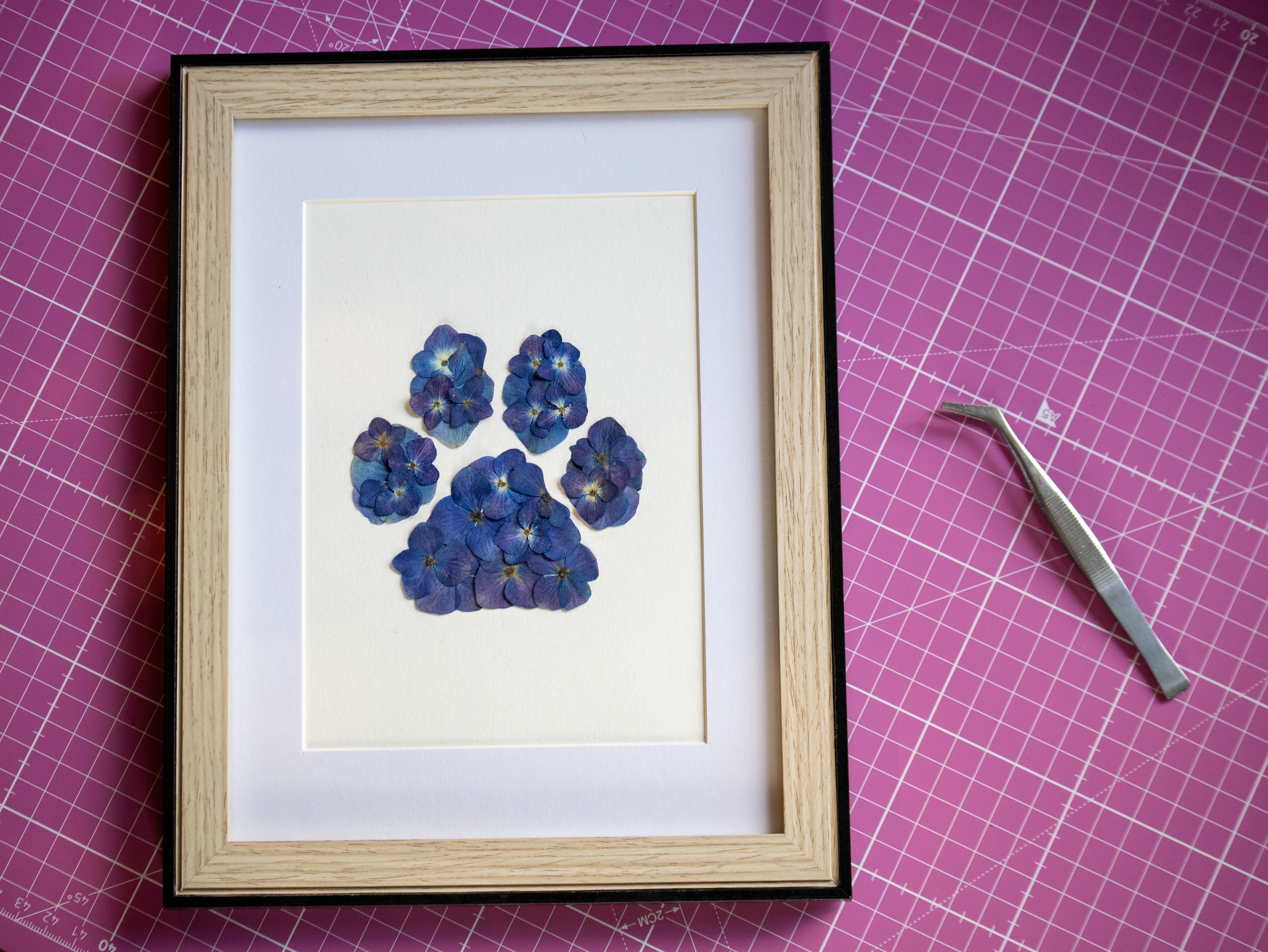 Herbier "Patte Bleue" 🐾  18 x 24 cm