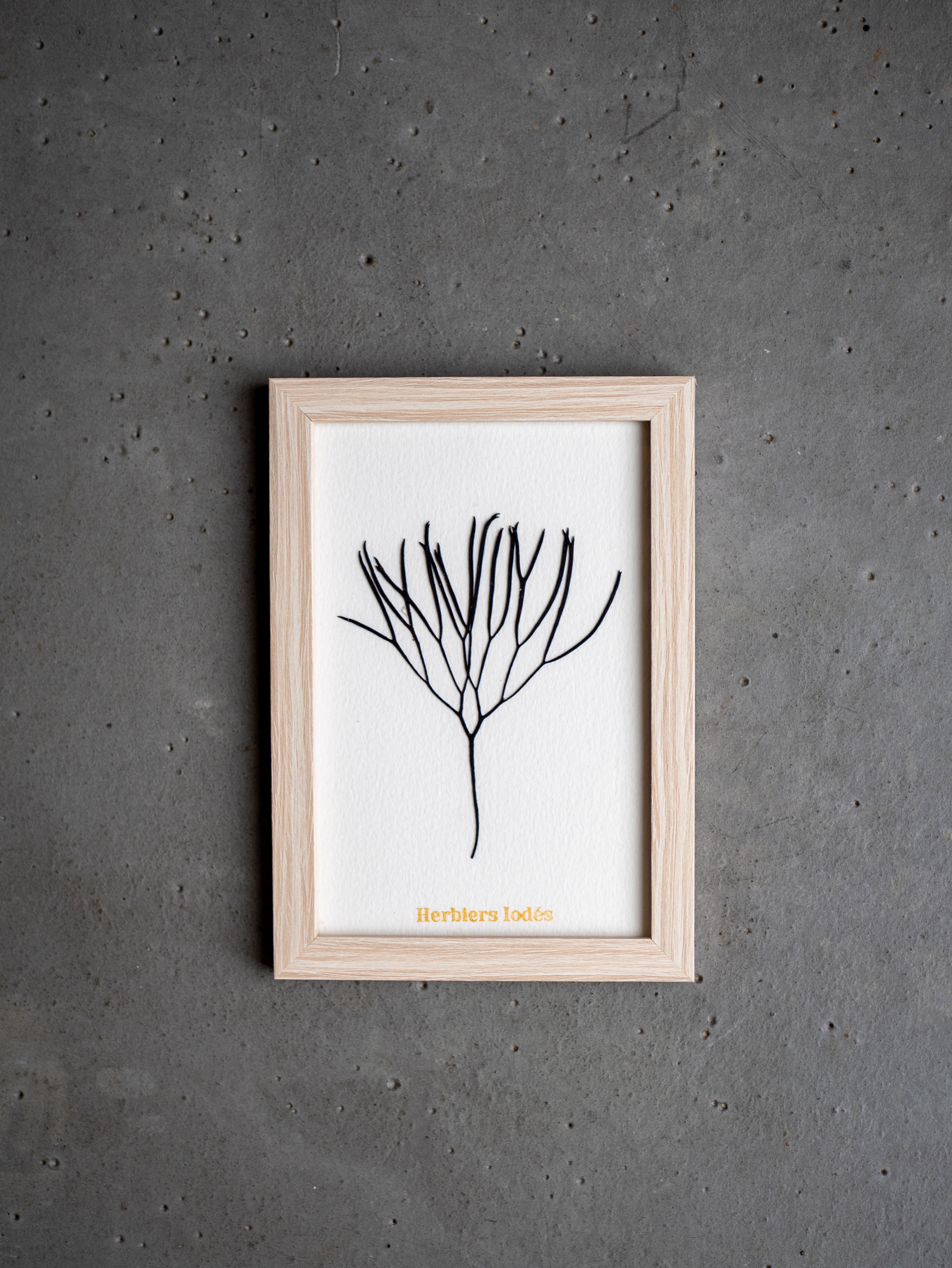 Alguier Calligraphie Marine 🖤 - Format 10 x 15 cm