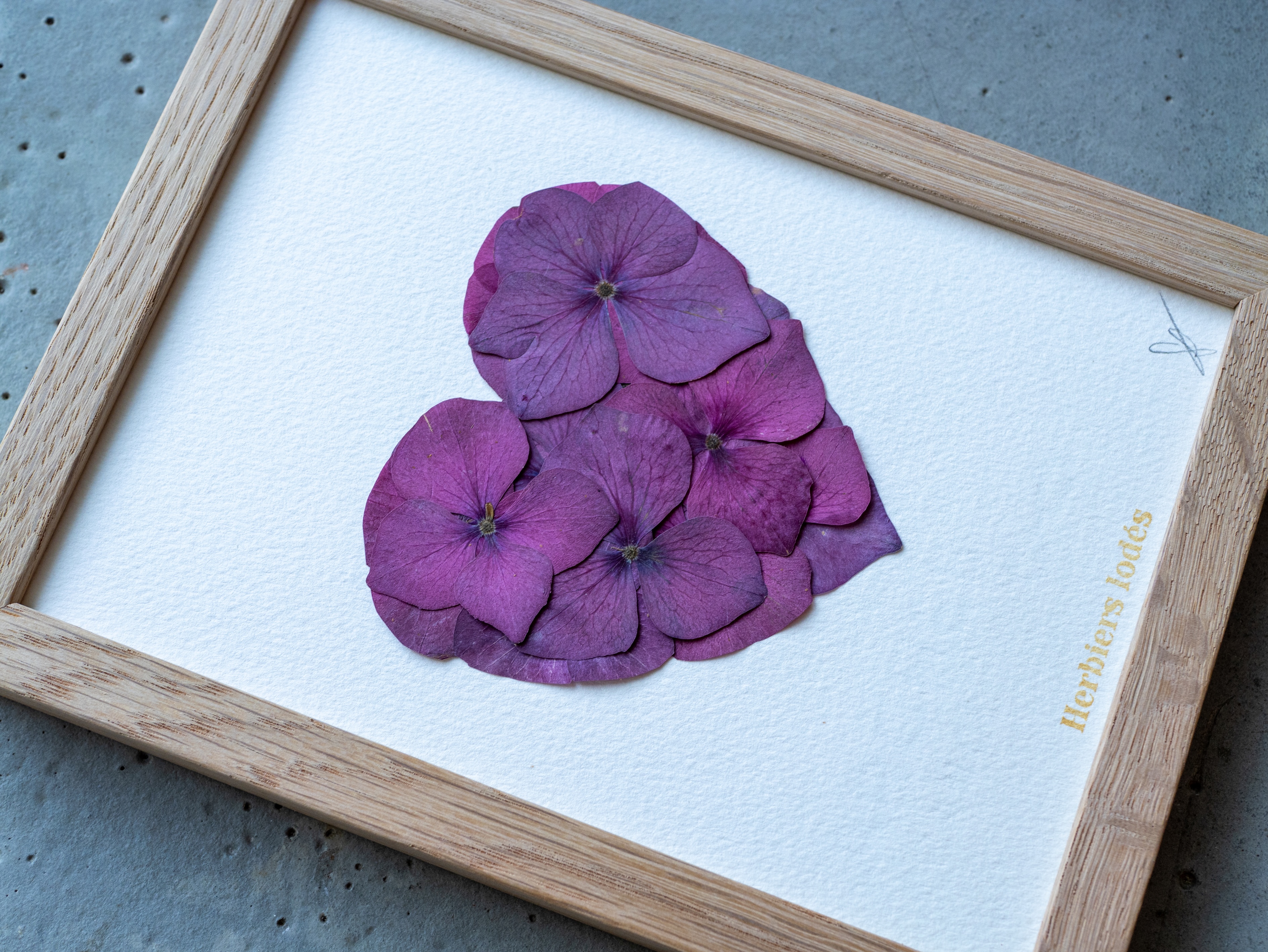 "Coeur Pourpre" Herbier Floral - 13 x 18 cm