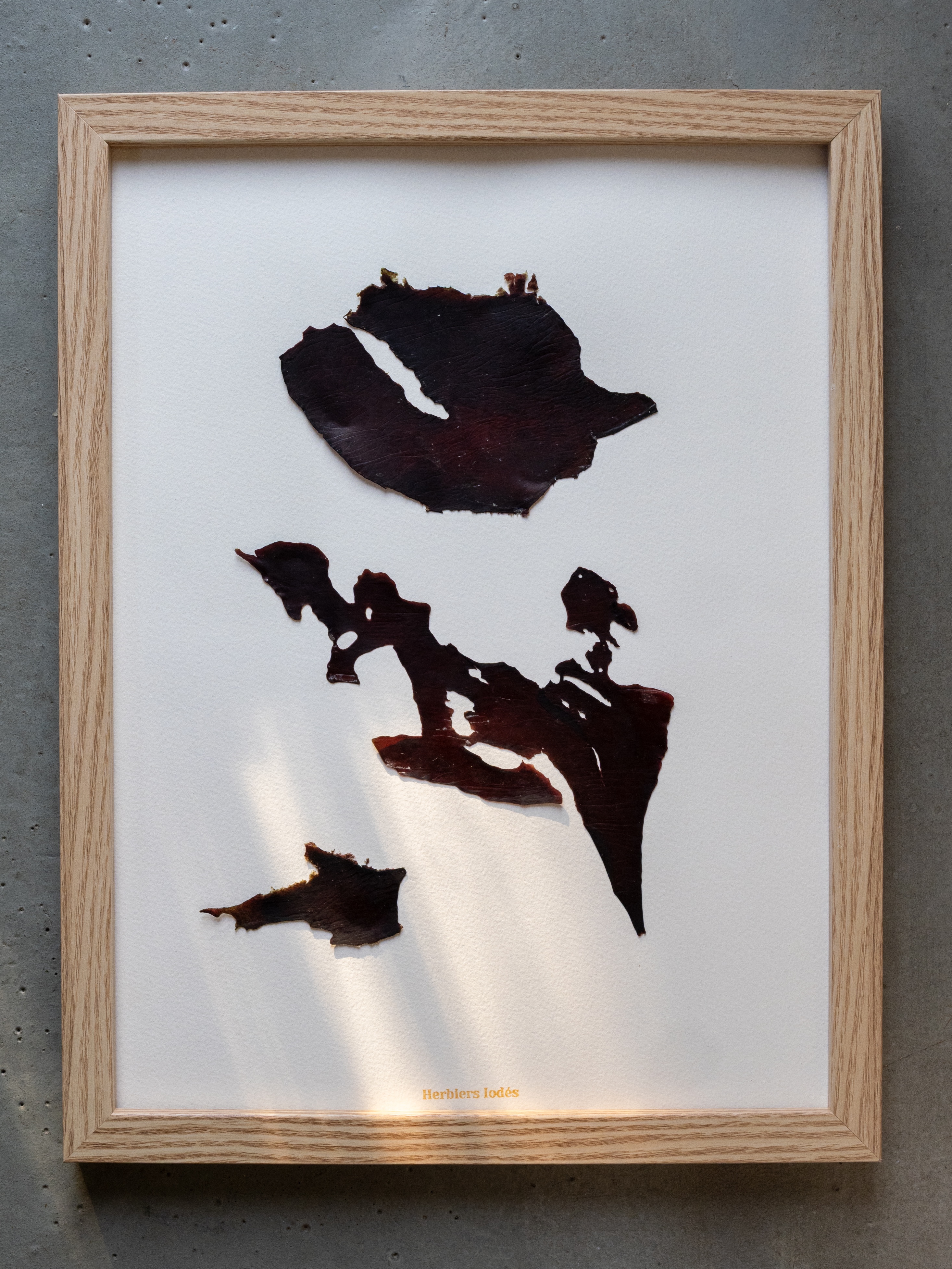 Alguier Cartographie des Profondeurs 🗺️  Format 30 x 40 cm