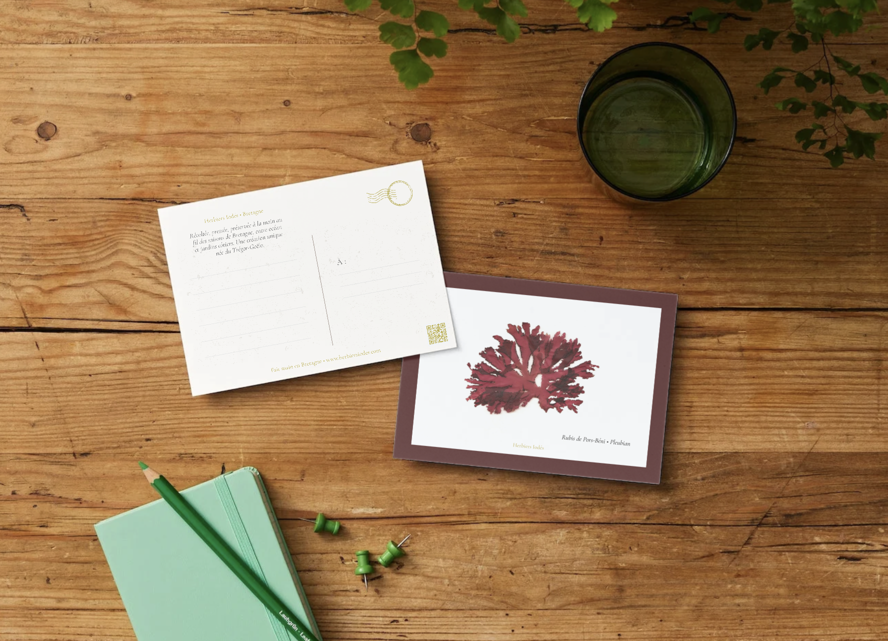 Carte postale "Rubis de Pors-Béni"